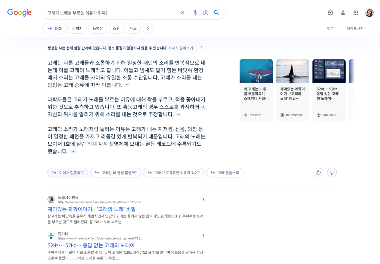 생성 AI 검색이 적용되어 ‘이어서 질문하기’ 기능을 사용하는 검색결과 예. ‘고래가 노래를 부르는 이유’를 검색하면, 결과 하단에 ‘이어서 질문하기’ 및 관련 제안 질문들이 보인다. (사진=구글)