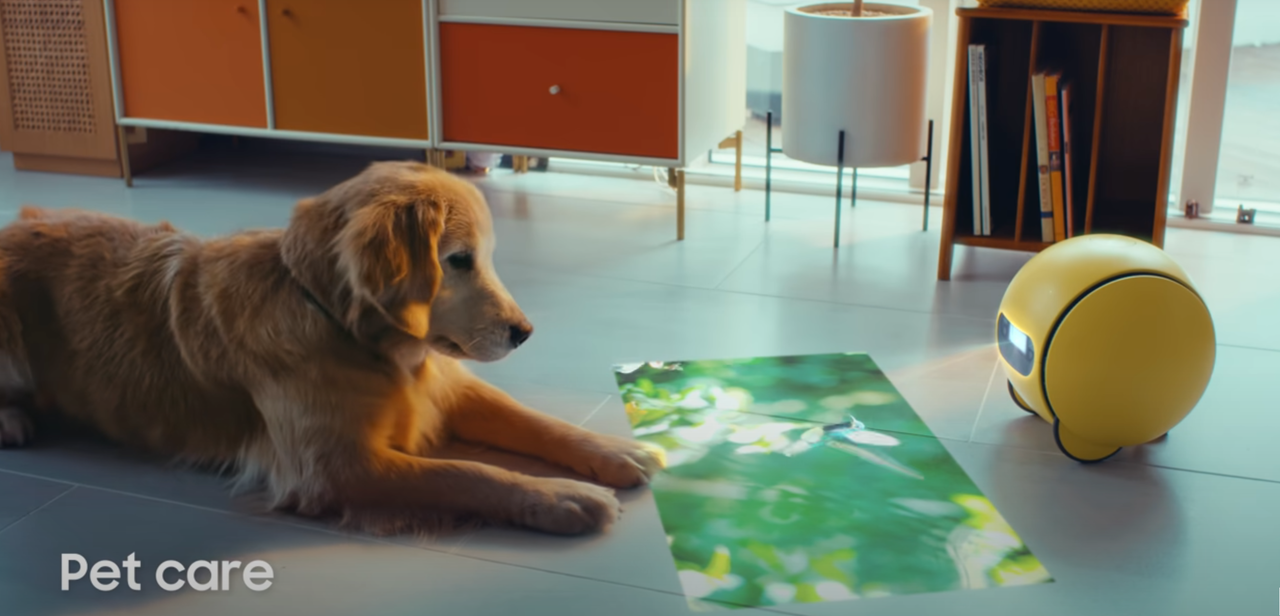 삼성전자가 선보인 볼리는 반려동물 돌봄, 홈 오피스, 상호작용 기능을 제공한다. (사진=삼성전자)