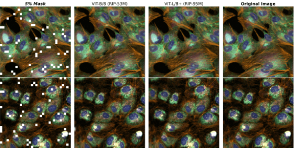 모델 성능 평가 지표인 '이미지 재구성'에서 우수한 성능을 보인 페놈-베타 모델 (사진=엔비디아)