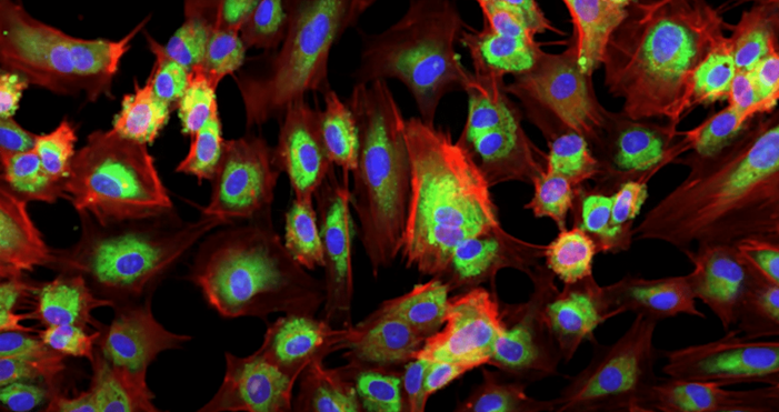 (사진=엔비디아)