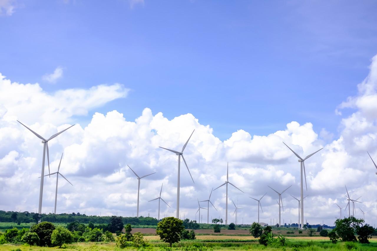 (사진=셔터스톡)