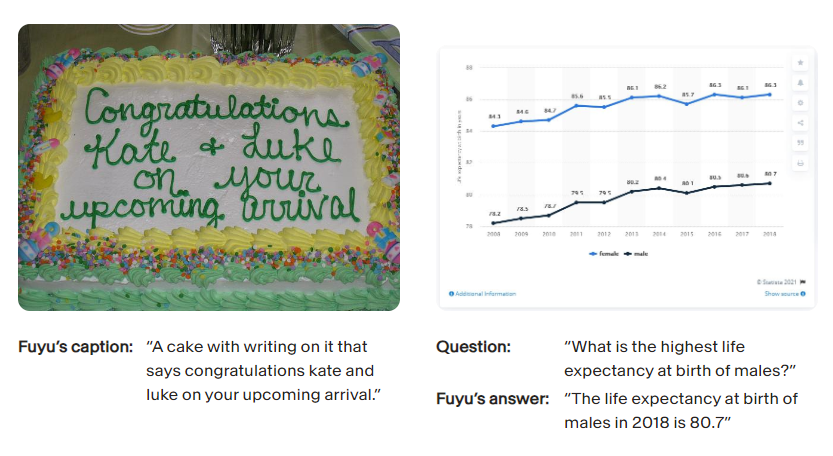 이미지와 텍스트 입력에 대답하는 푸유-헤비 (사진=어뎁트)