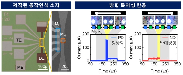 Direction specificity response according to signal transmission direction (Photo = KAIST)