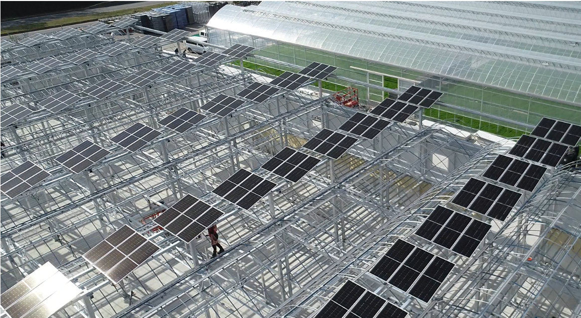 (사진=한화솔루션)