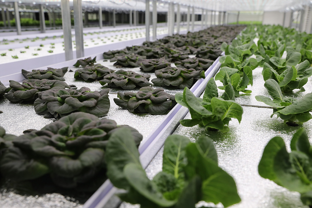 테스트베드 현장 사진 (사진=롯데정보통신)