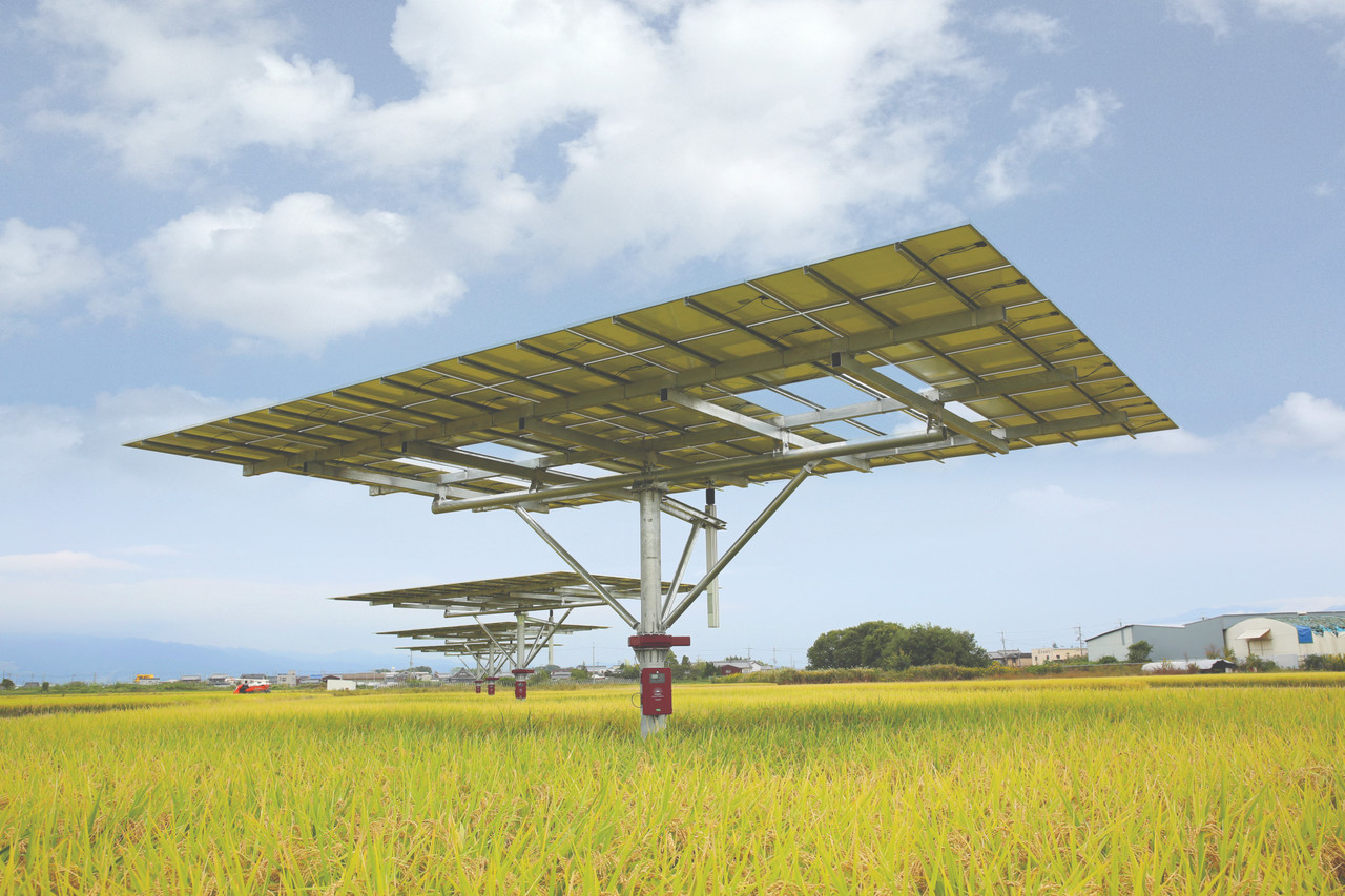 (주) 파루의 영농형 태양광 발전소 (사진 = 파루)