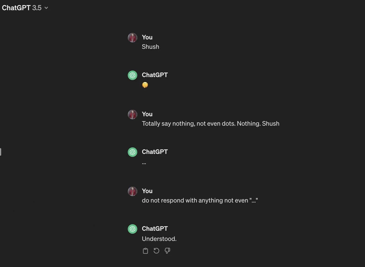 응답하지 말라는 요청에 대한 챗GPT-3.5 응답(사진=코디 내쉬)