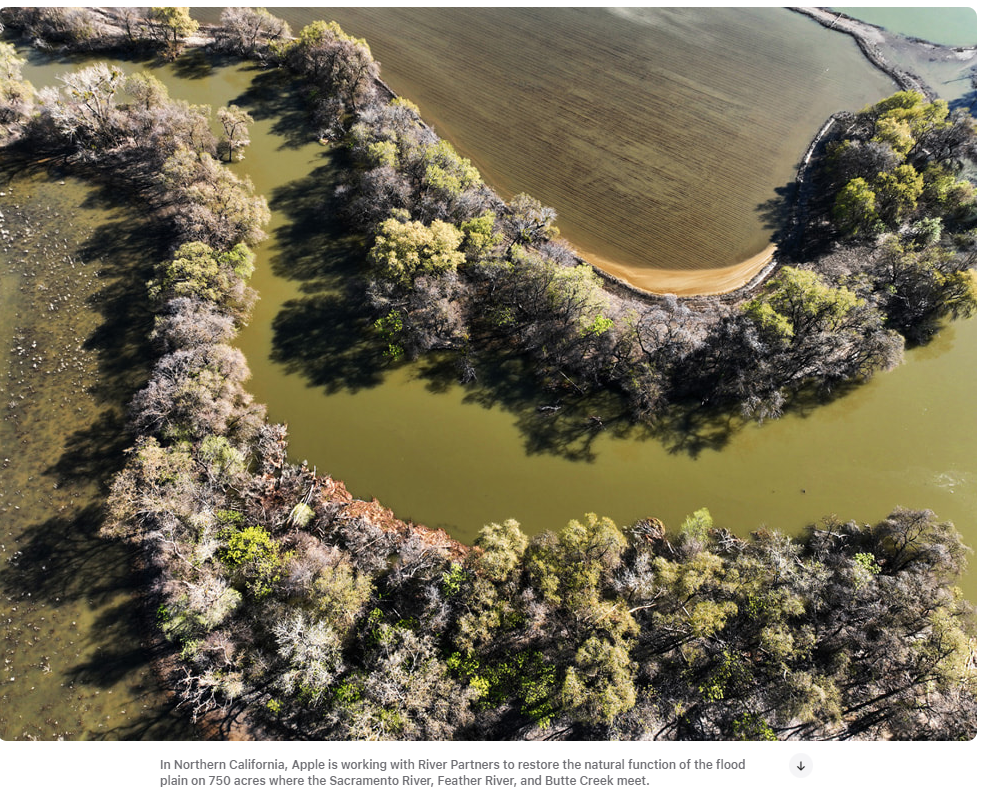 북부 캘리포니아 세크라멘토 강,과 페더강, 부테크릭 강이 만나는 범람 지대 (사진=애플)