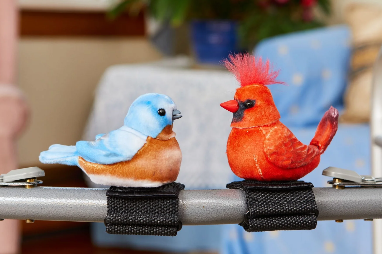 (사진=에이지리스 이노베이션)