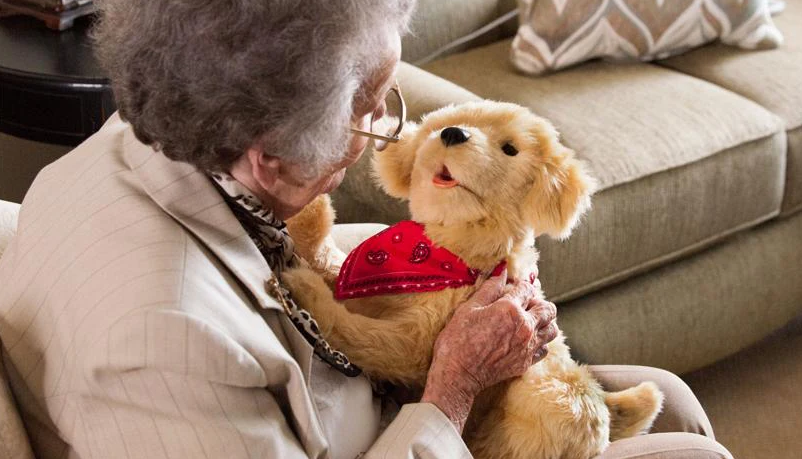 (사진=에이지리스 이노베이션)