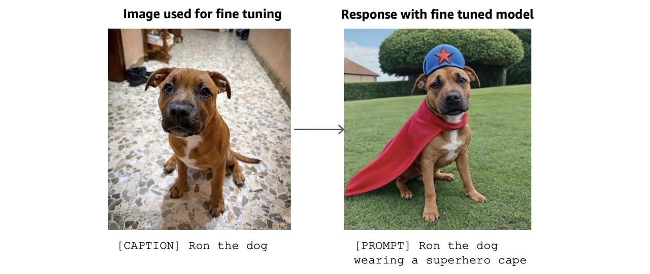 '주제 일관성'을 적용한 예 (사진=아마존)