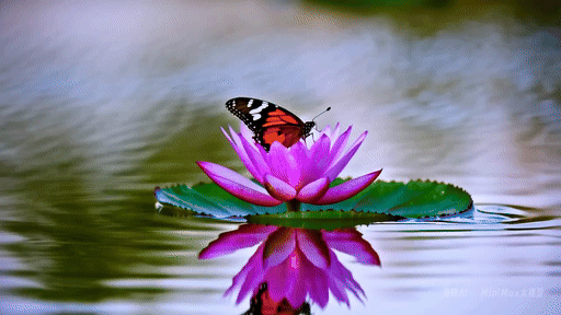 비디오-01 생성 비디오 (사진=미니맥스)