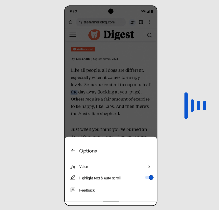 웹페이지 듣기 (사진=구글)