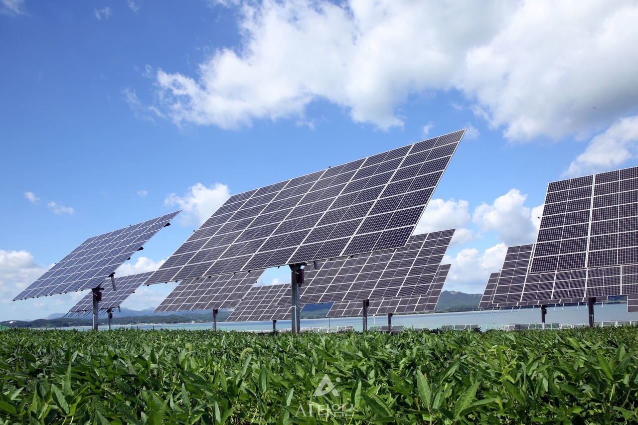 양축 트래커 태양광 (AI타임스 DB)