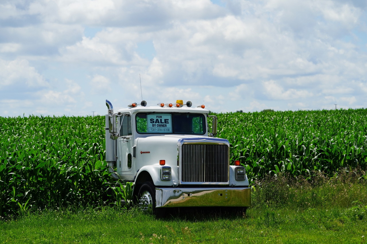 위스콘신 옥수수밭 (사진=셔터스톡)