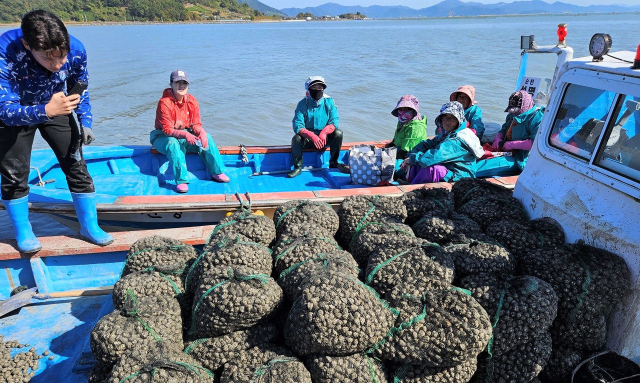순천 와온 자율관리어업공동체 활동-꼬막생산 (사진=전남도)