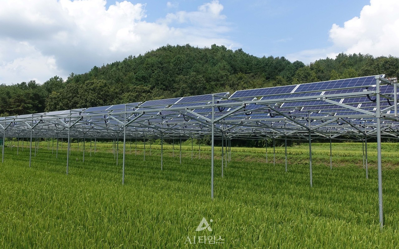 영농형 태양광 예시 (AI타임스 DB)