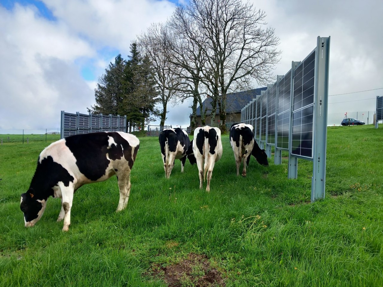 (사진=엔지그린)