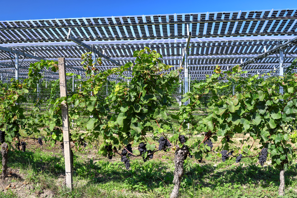 (사진=아이스톡)