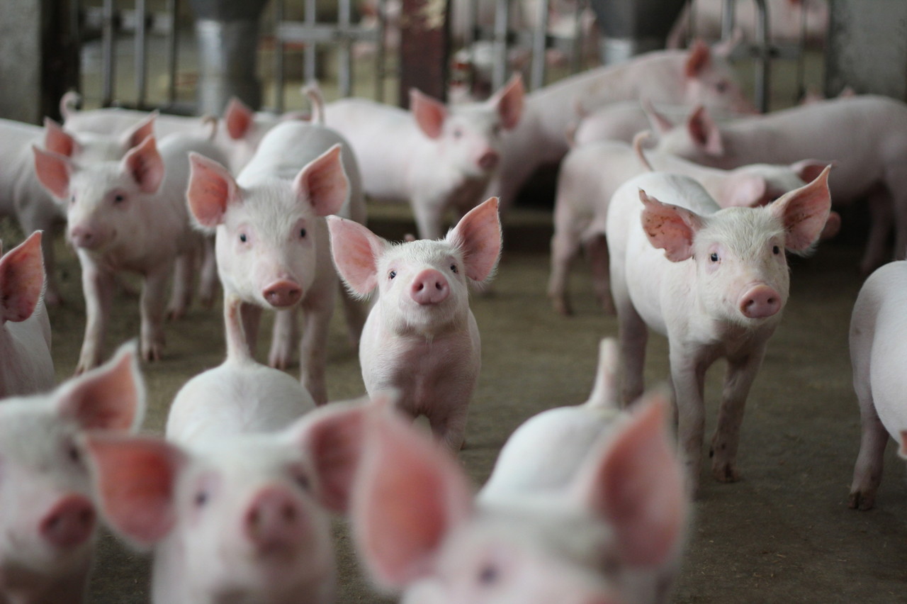 (사진=셔터스톡)