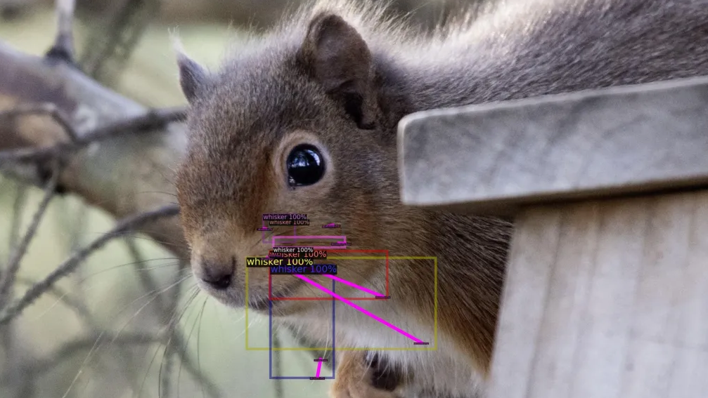 (사진=제네시스 엔진)