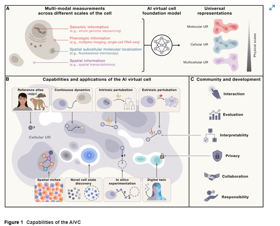 AIVC (사진=애마 룬드버그)