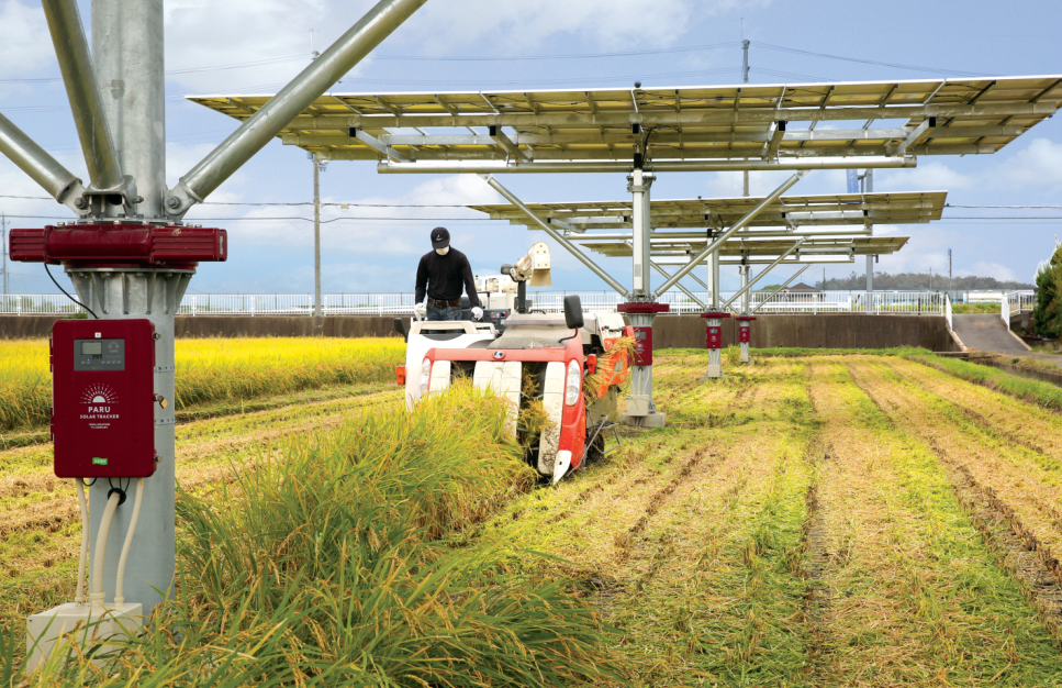 하부에서 농사를 지으며 태양광 발전을 진행하는 영농형 태양광 (사진=파루)