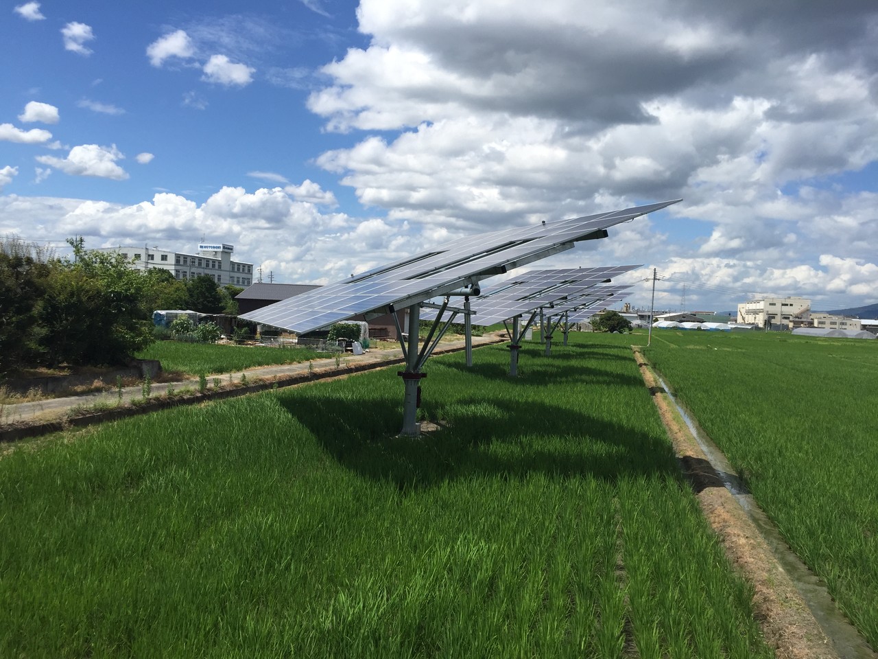 일본에 설치된 파루의 영농형 양축 트래커 (사진=파루)