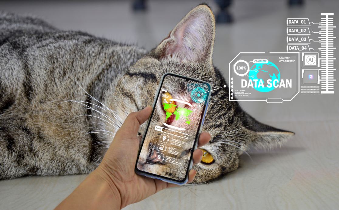 (사진=셔터스톡)