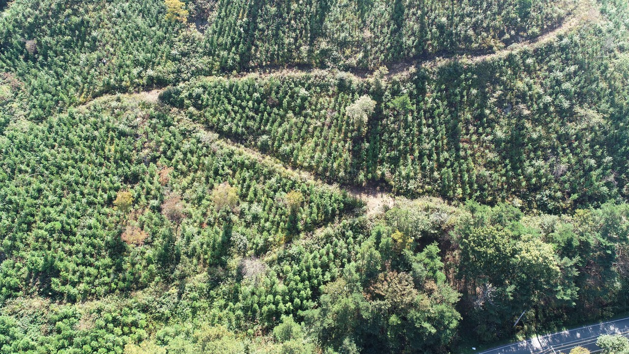 전남도가 탄소중립 실현을 위한 나무심기에 나섰다. (사진=전남도)