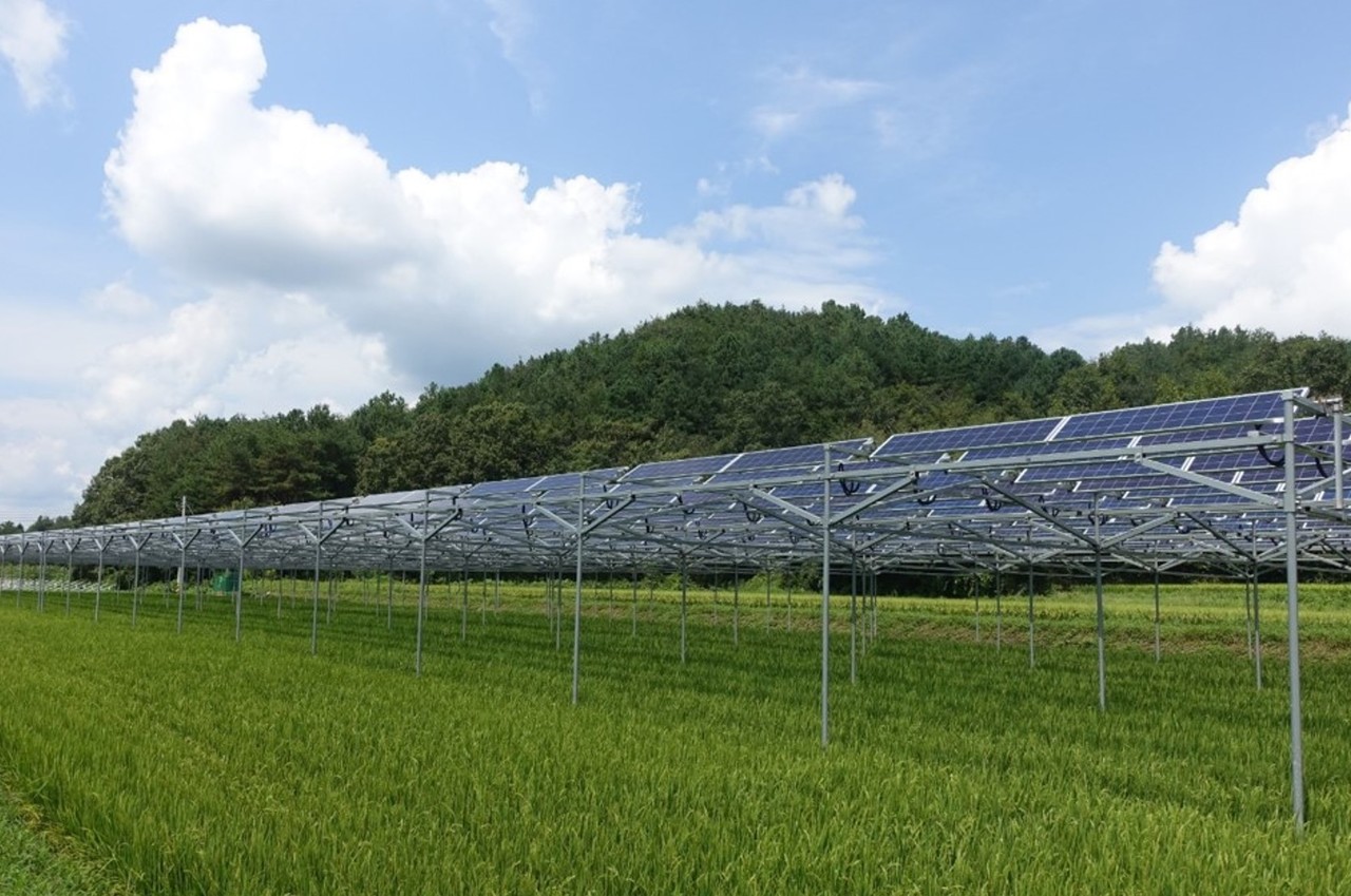 (사진=전라남도)