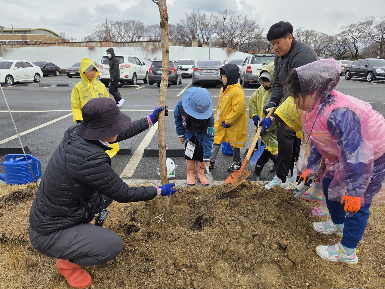 Jeonnam Green Federation is planting hope trees with children in Gwangyang.