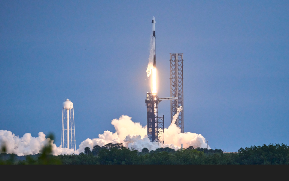 (사진=셔터스톡)