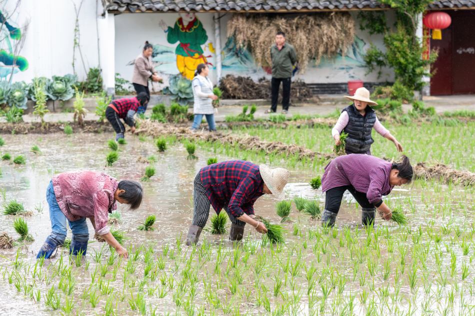 (사진=셔터스톡)