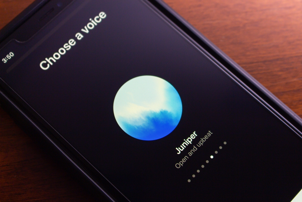 (사진=셔터스톡)