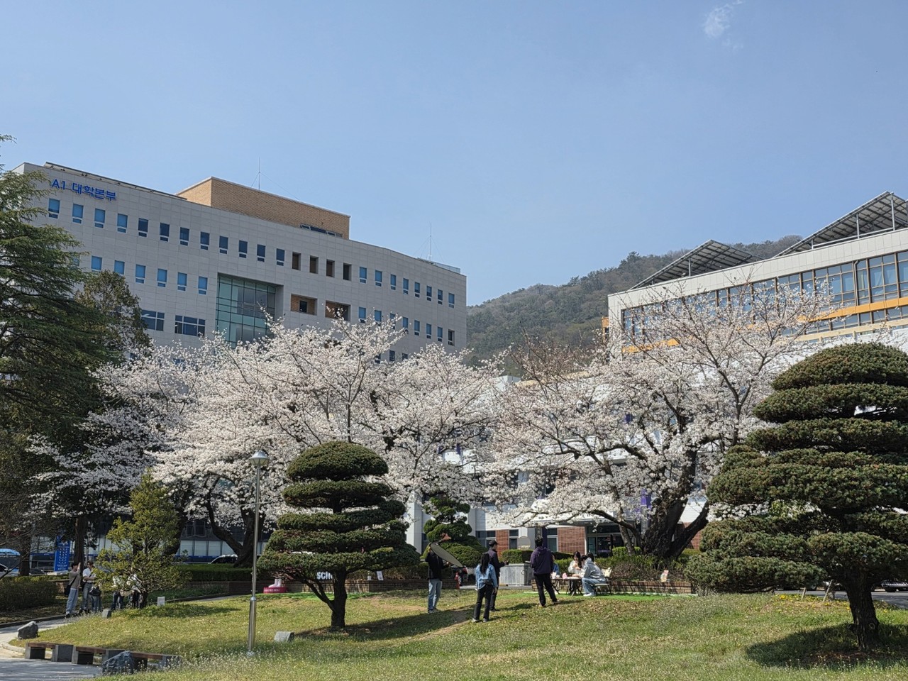 순천대학교 본관과 약학대학교 건물 앞 풍경 (사진=양준석 기자)
