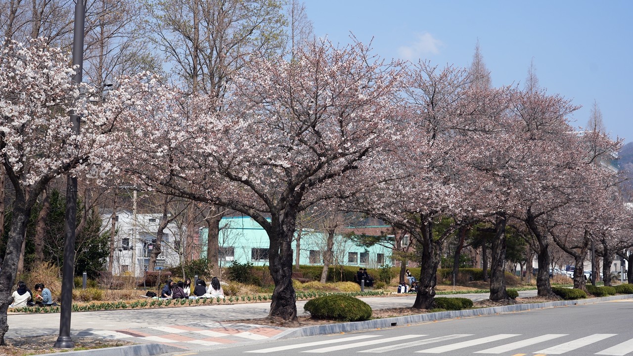 목포대학교 교정 (사진=목포대)
