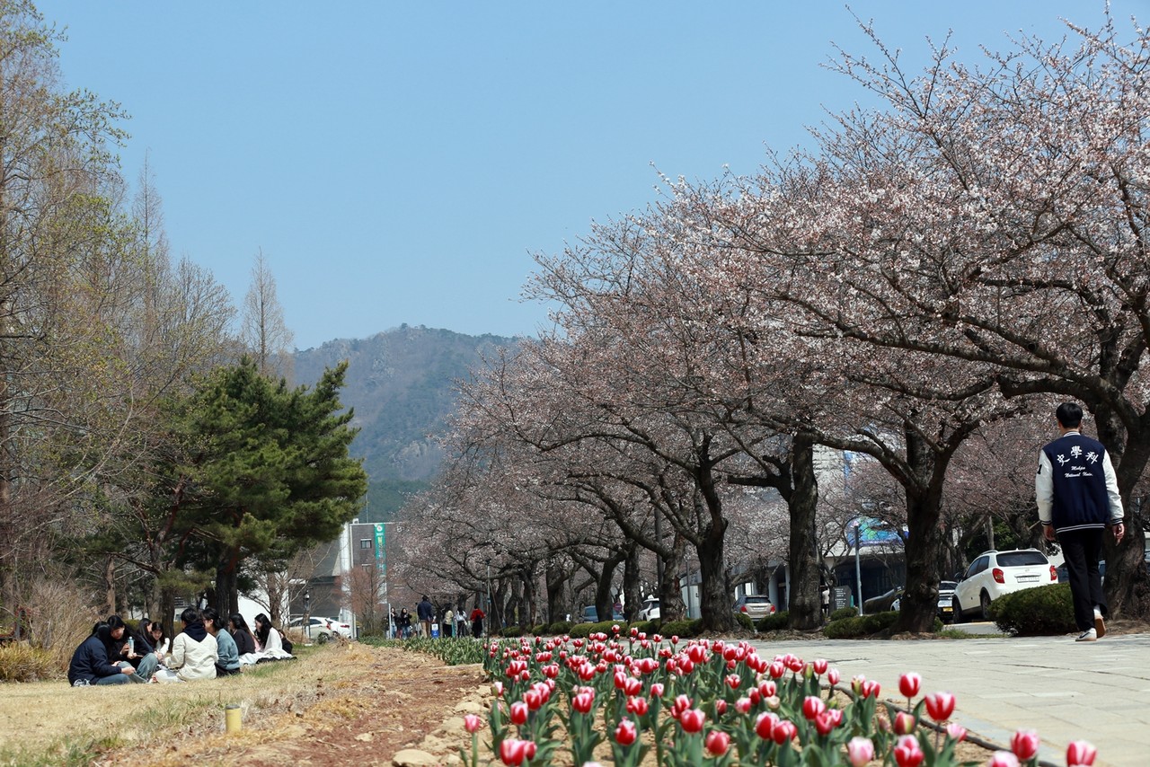 목포대학교 교정 (사진=목포대)