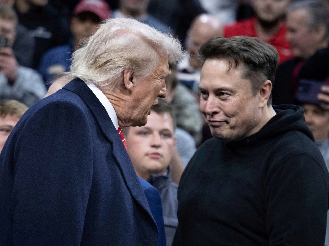 (사진=셔터스톡)