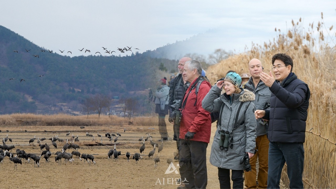 지난 1월 국제두루미재단에서 흑두루리 월동지인 순천만을 방문했다. (AI타임스DB)