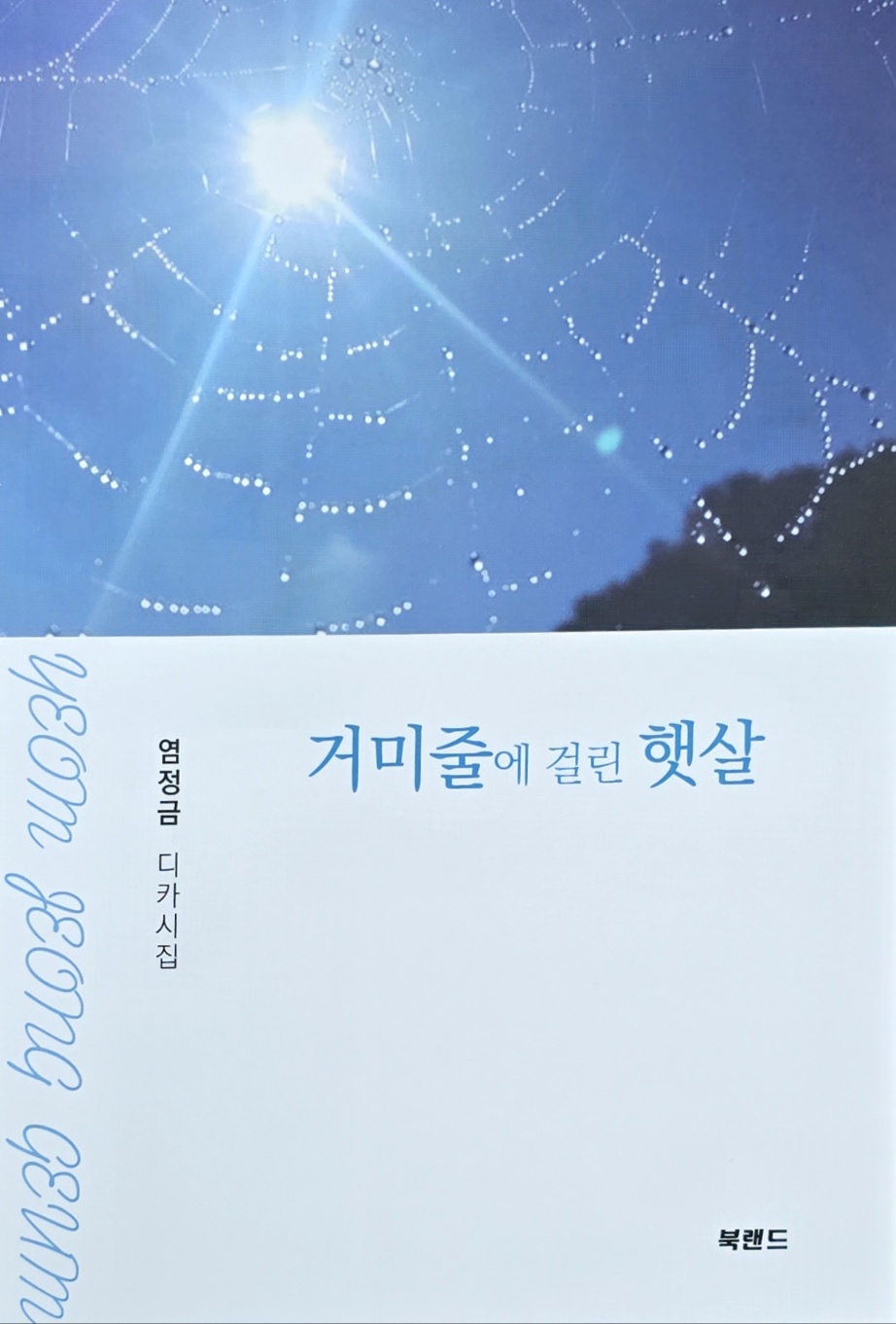 땅끝 마을 전남 해남 시골마을에서 텃밭을 일구며 시를 짓는 염정금 시인의 세 번째 시집 '거미줄에 걸린 햇살' 표지.