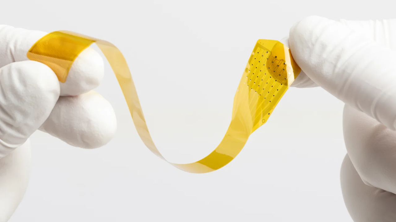 레이어 7 피질 인터페이스 (사진=프리시전 뉴로사이언스)