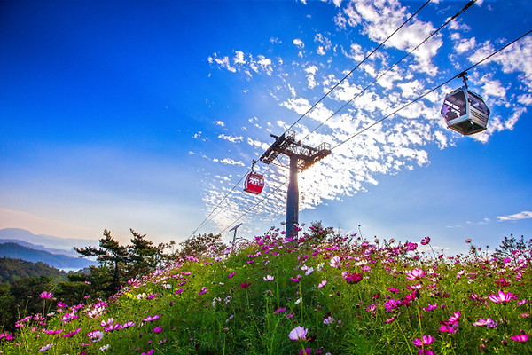 Mokpo Maritime Cable Car (Photo = Mokpo City)