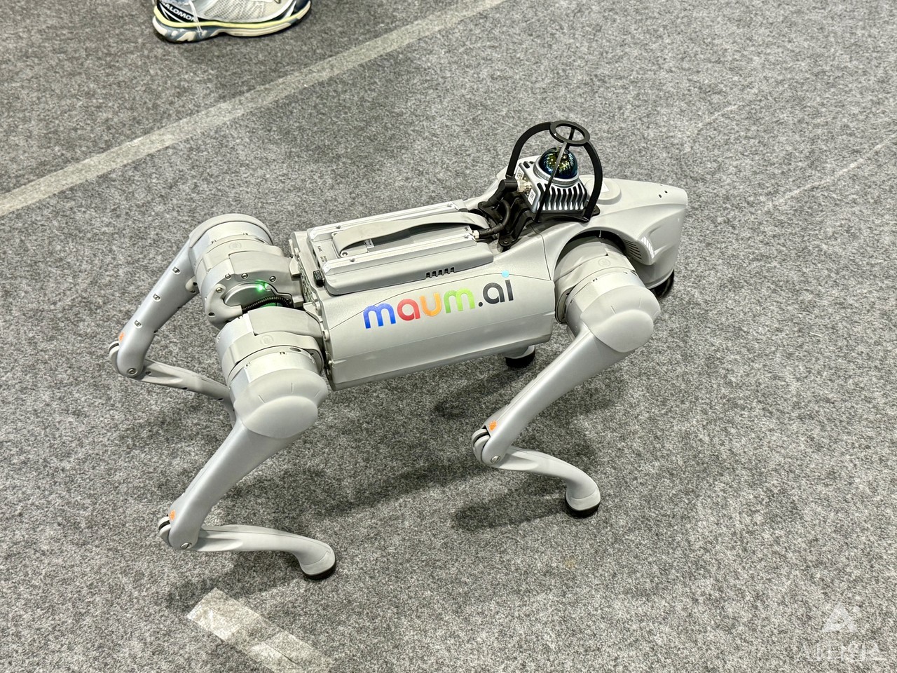 Mind AI's autonomous driving AI robot 'Sora'