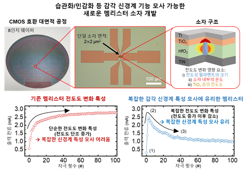 감각 신경계의 습관화 및 민감화 기능 모사가 가능한 새로운 멤리스터 소자의 실물 모습과 설명도 (사진=KAIST)