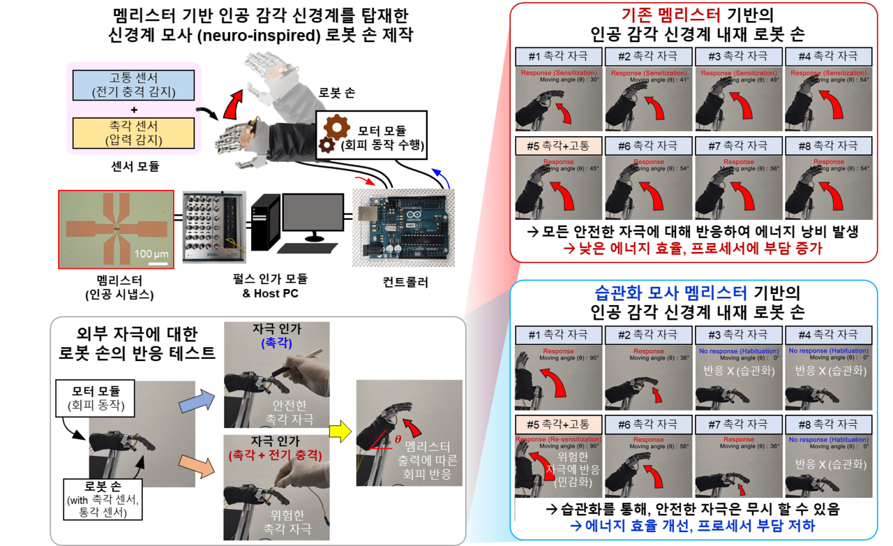 감각 신경계의 습관화 및 민감화 기능 모사가 가능한 새로운 멤리스터 소자의 실물 모습과 설명도(사진=KAIST)