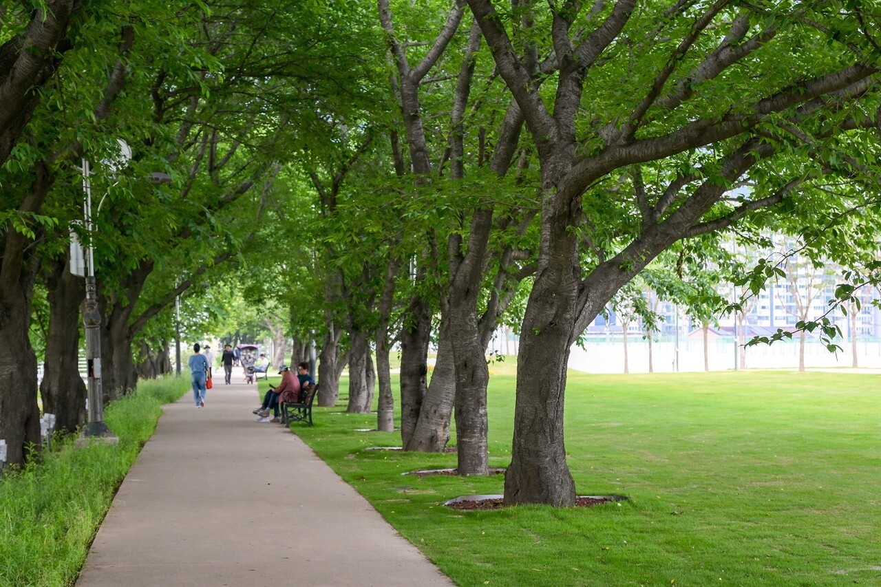 동천을 따라 조성된 770미터 길이의 풍덕수변공원