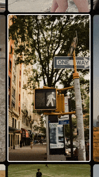 이미지-비디오 (사진=유튜브)