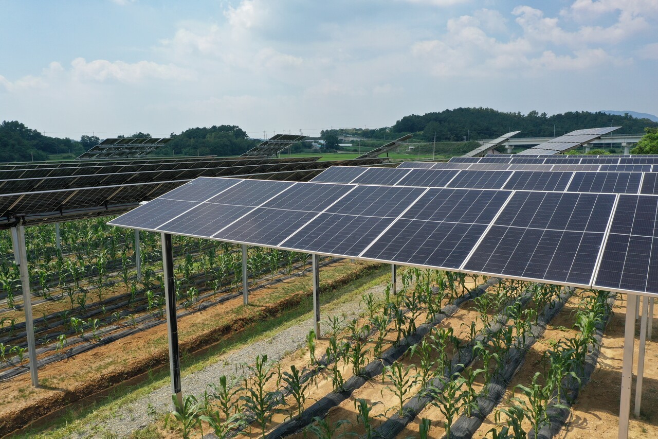 영농형 태양광 (사진=파루솔라)