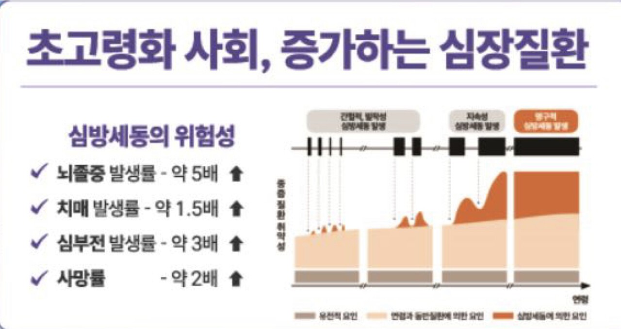 메디팜소프트, AI 기반 '심방세동 발생 예측 시스템' 평가유예 신의료기... - 뉴스 썸네일 이미지